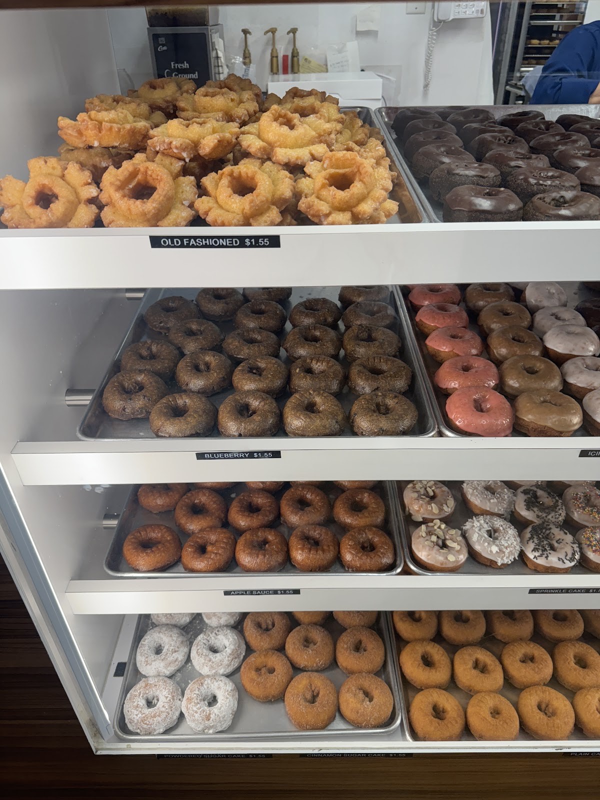 Gold Star Donuts' display case stocked with rows of old fashioned, blueberry, apple sauce and sprinkle cake donuts